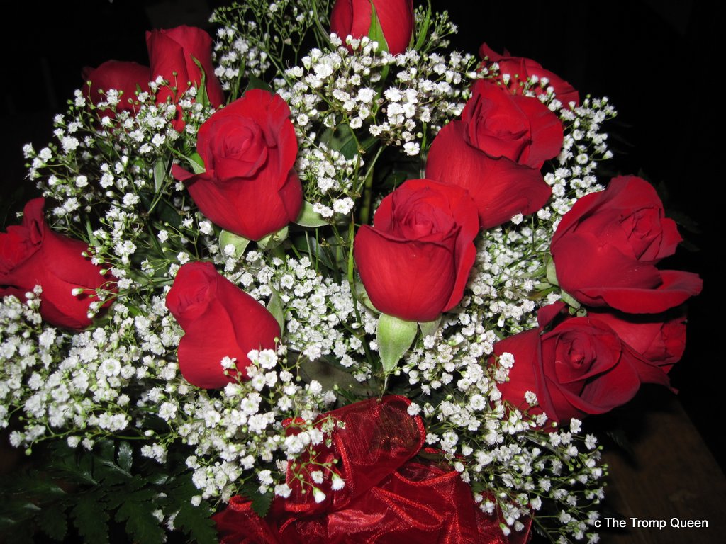 1 dozen red roses